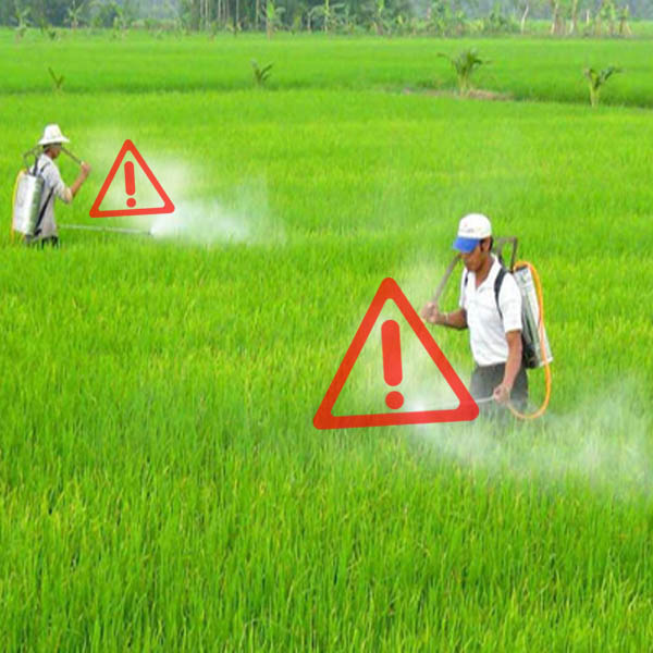 Vì sao dùng bình phun thuốc sâu thủ công lại tiềm ẩn nhiều nguy hiểm?