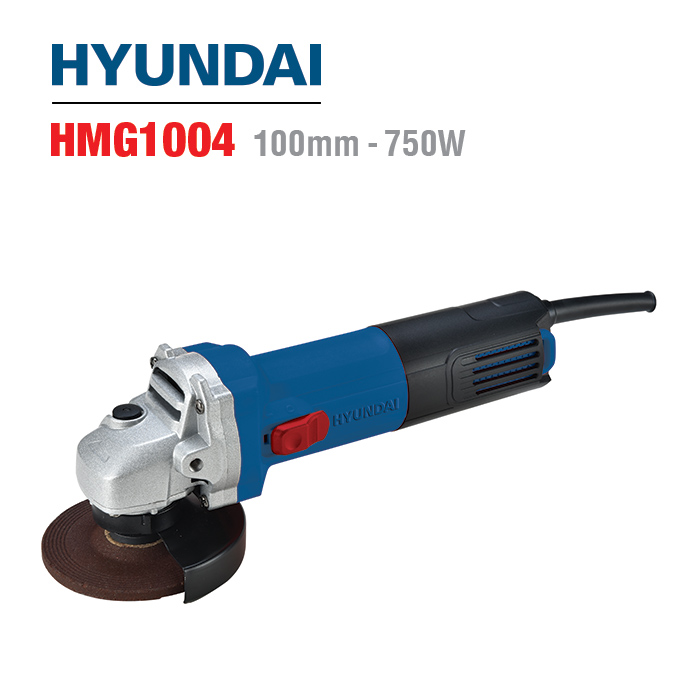 HMG1004