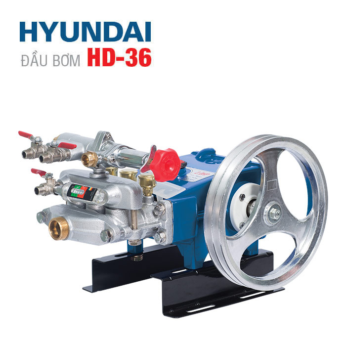 HD-36