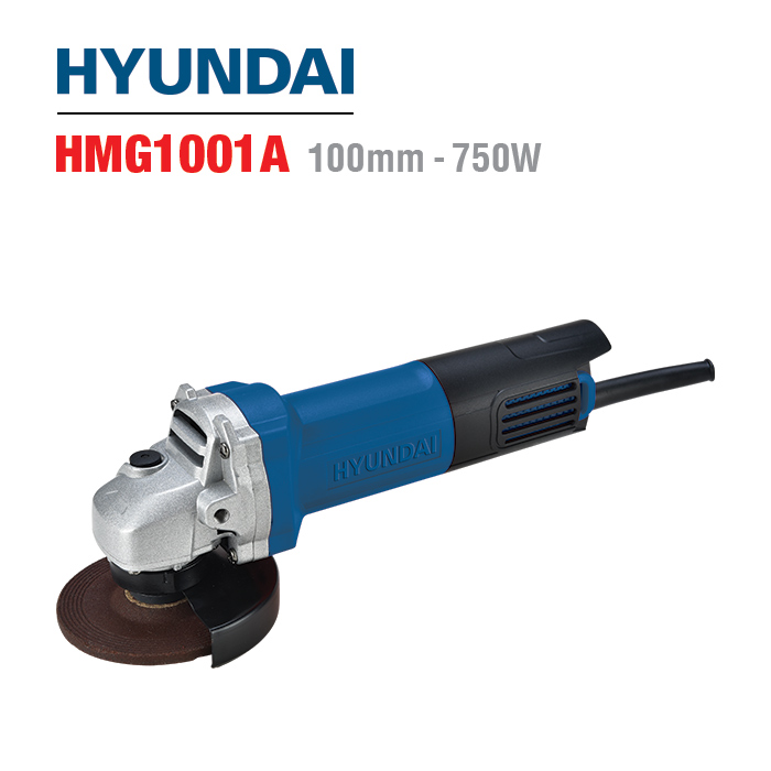 HMG1001A