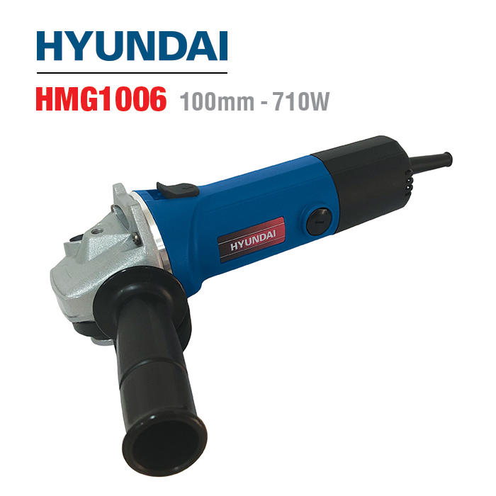 HMG1006