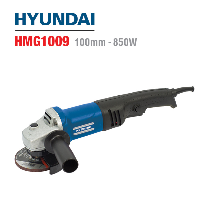 HMG1009