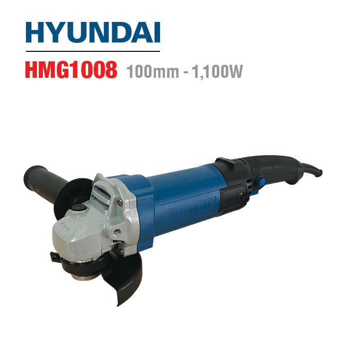 HMG1008