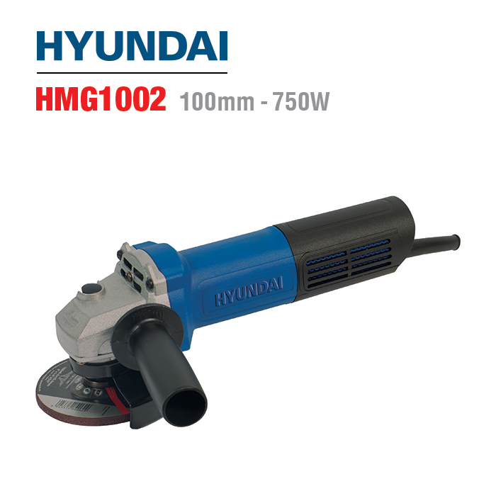HMG1002