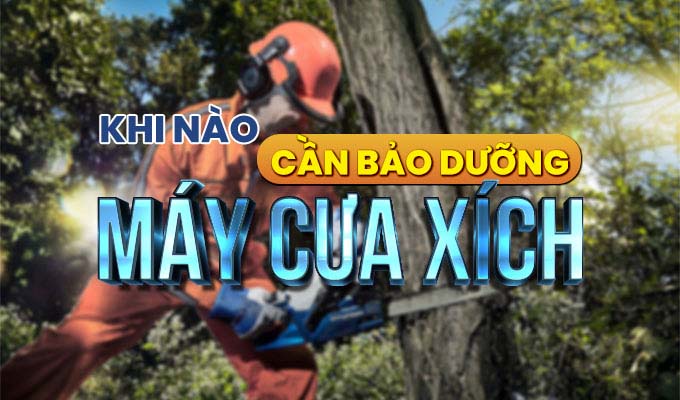 lịch bảo dưỡng máy cưa xích