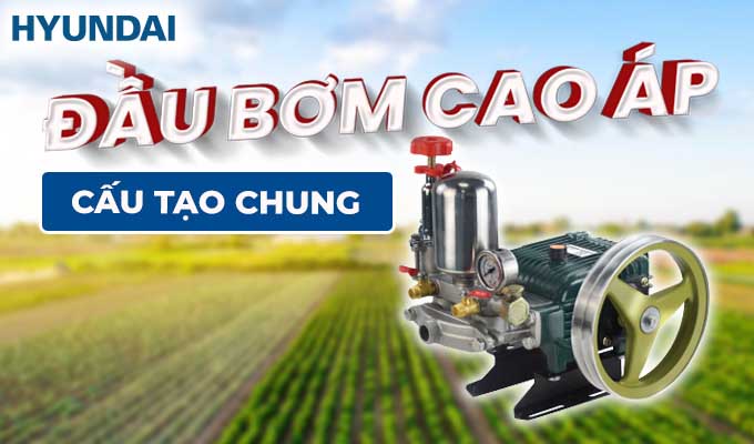 cấu tạo đầu bơm cao áp
