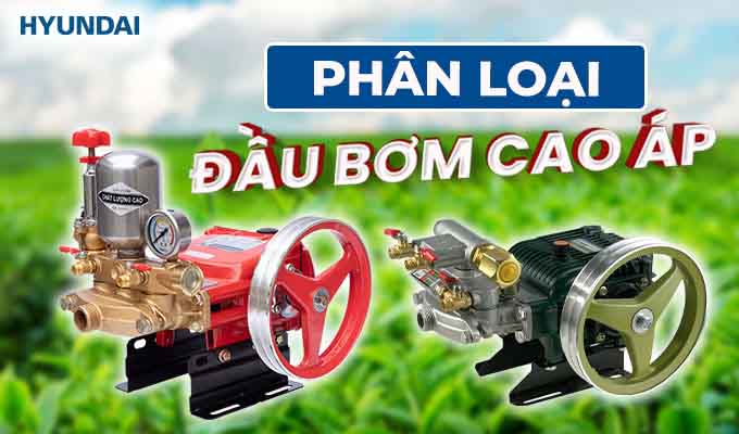 phân loại đầu bơm cao áp